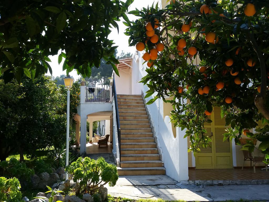 Gasthof Flor Amistad Peguera