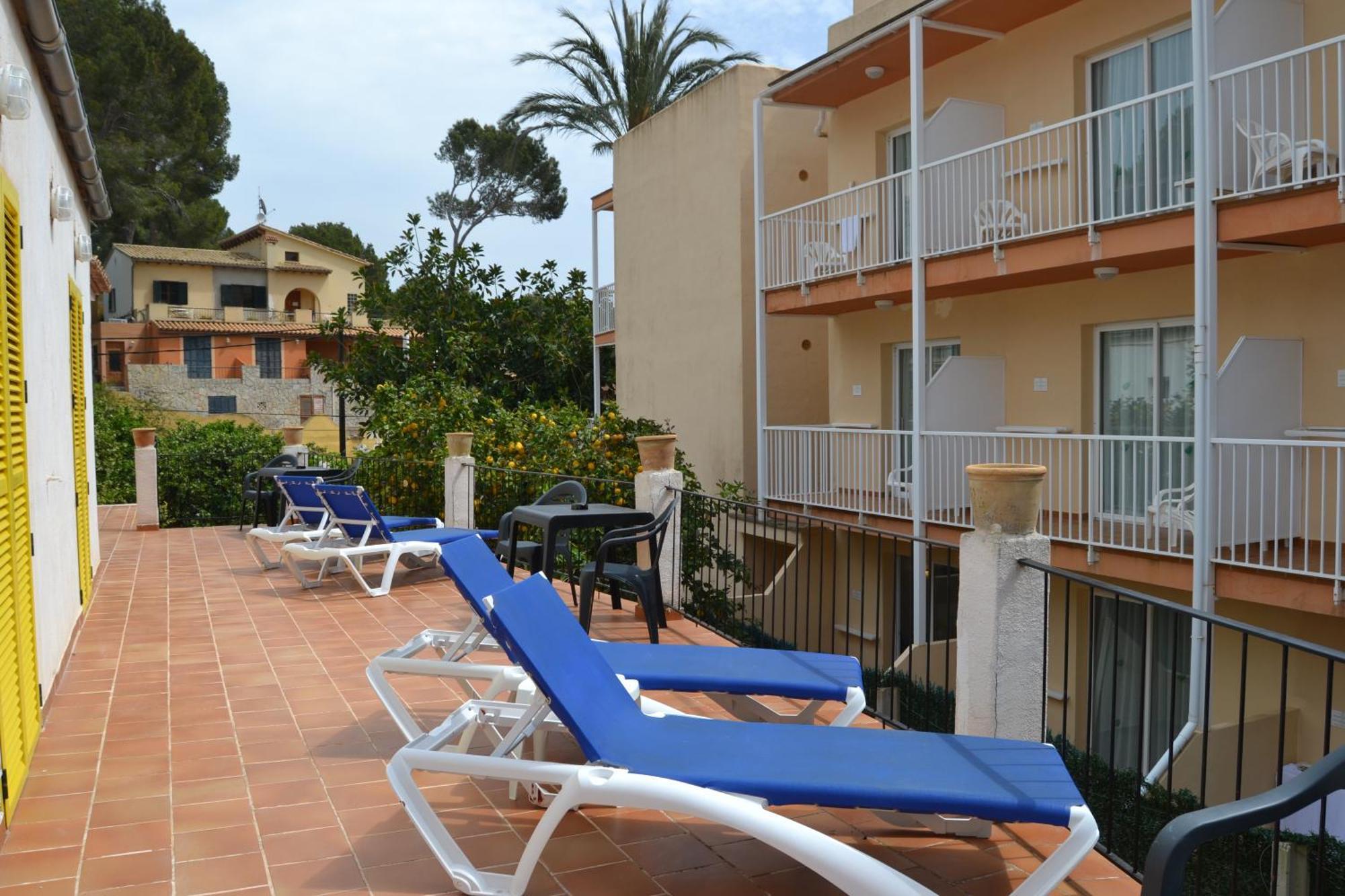 Flor Amistad Guest house